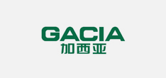 品牌網(wǎng)站建設(shè)-加西亞logo