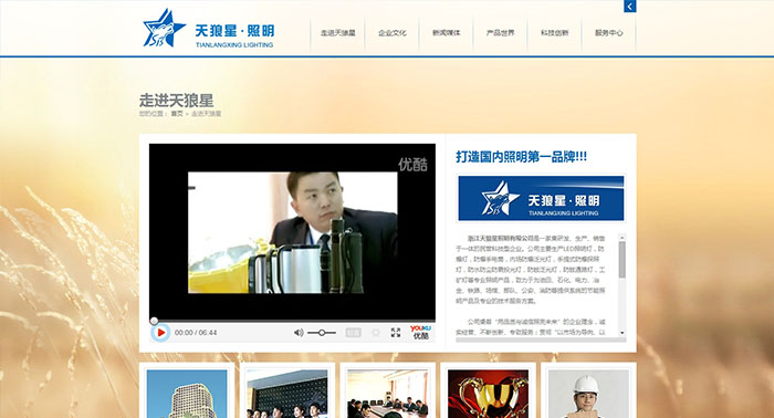 盛世傳媒案例-天狼星照明-防爆網站建設