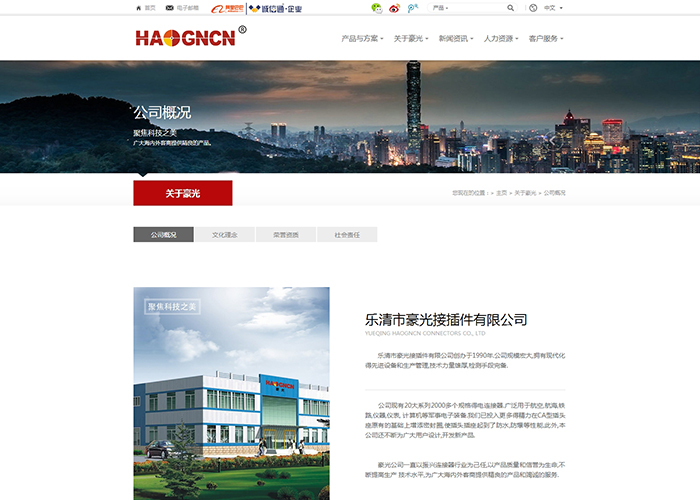盛世傳媒-柳市網(wǎng)站建設(shè)