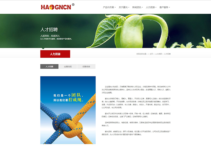 柳市網(wǎng)站制作