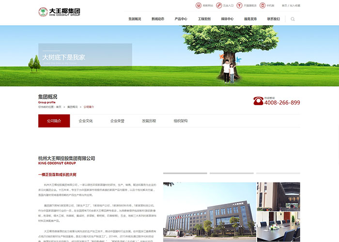 盛世傳媒-大椰王集團網站建設_高端網站制作_網頁設計_SEO優化推廣