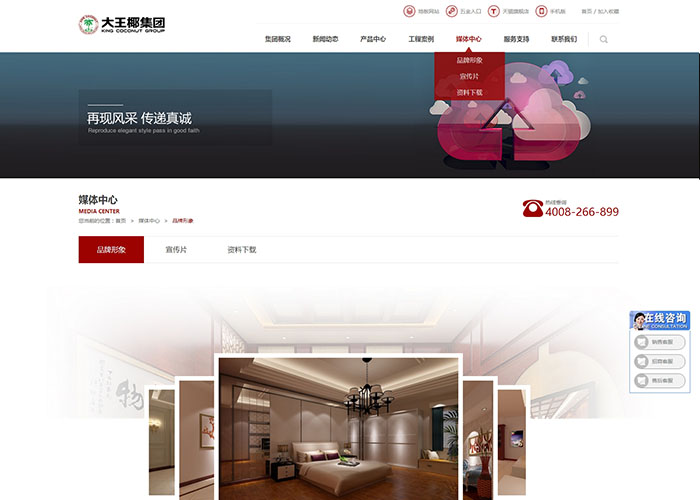 盛世傳媒-大椰王集團網站建設_高端網站制作_網頁設計_SEO優化推廣